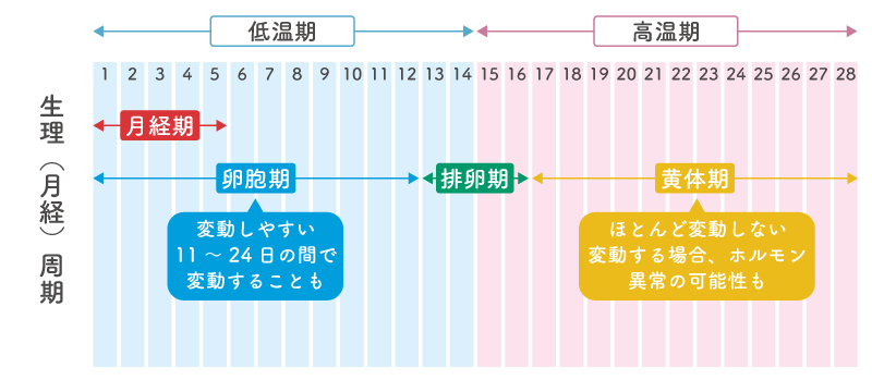 正常な生理