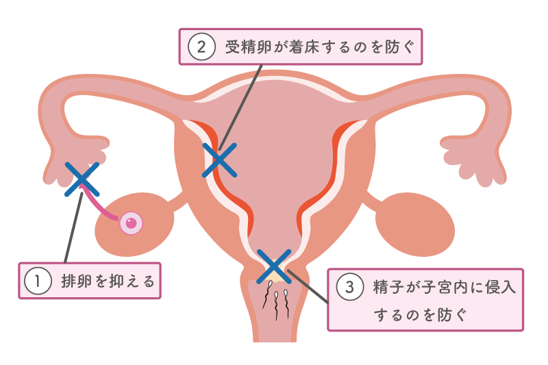 スリンダ錠の作用機序